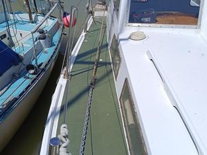 Mitchell 31 Mk II - Side Deck