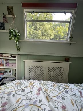 Bedroom Window