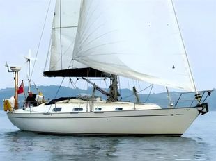 1983 Contessa 38