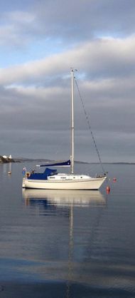 Westerly Konsort 29