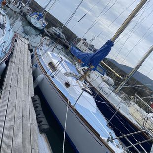 Trapper 28