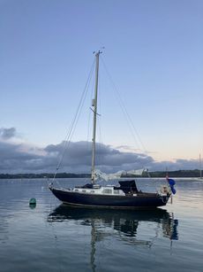 Nicholson 32