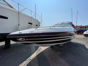 8911205 20230617014438982 1 XLARGE