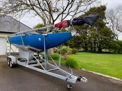 International Dragon