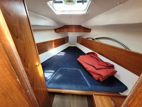 Fore Cabin