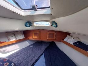 Camper & Nicholson Nicholson 35  - Forward Cabin