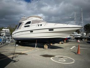 1998 sealine f33 power 9365313 20240427010402754 1 XLARGE