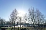 Moorings in rural marina 