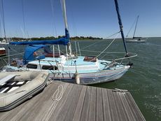 Kestrel 24