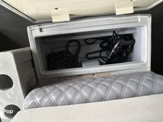 2022 Massimo Marine P23