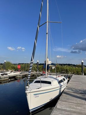 Bow View