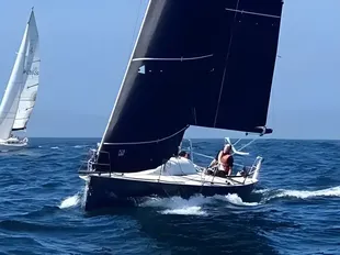 1996 ILC 30