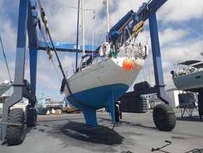 Tyler Slipper 42  - Stern