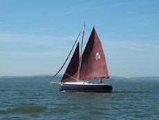 Cape Cutter 19