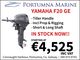 Yamaha Outboard F20 GES/L