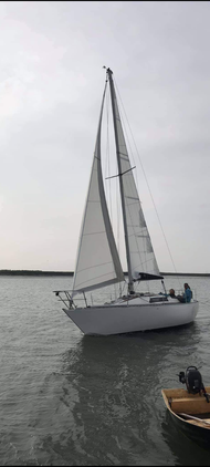 Colvic UFO 27