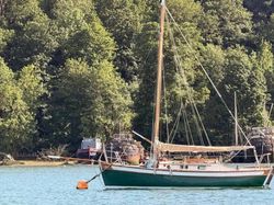 Tamarisk 24