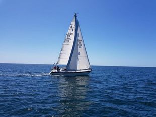 Westerly Storm OD