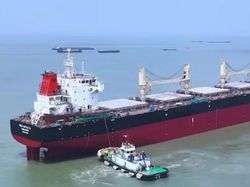 2x Cargo Carriers for Sale (Under Construction)