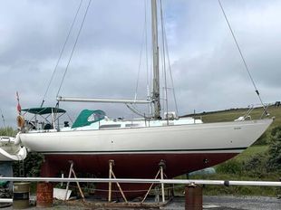 1977 Nicholson 35