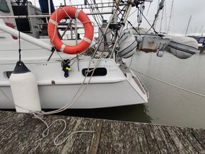 Denis Ganley Cutter NZYF CAT 1 OFFSHORE - Stern