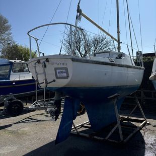 Hurley 22