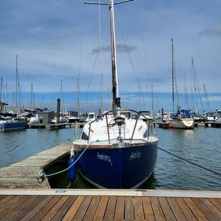 Lesuire 20