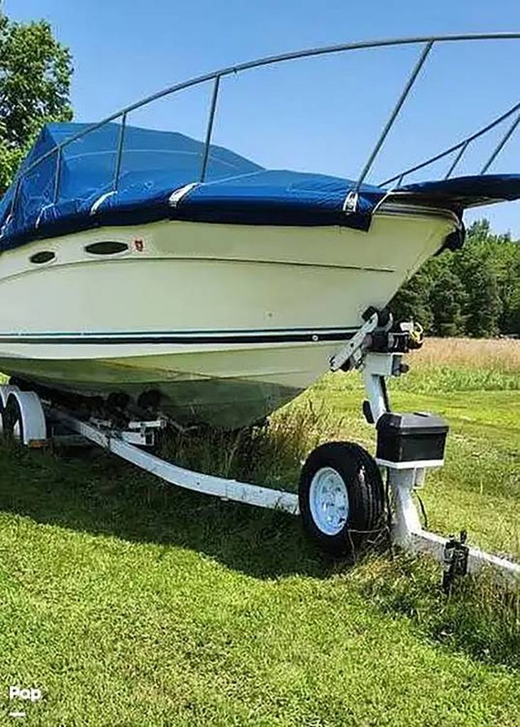 1984 Sea Ray 255 amberjack