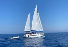 Alpa 42