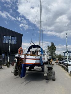 Kestrel 24