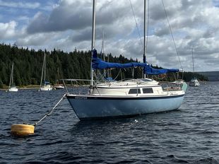 Hunter Liberty 23