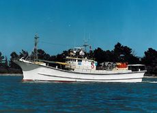 TUNA LONG LINER - RSW TANKS
