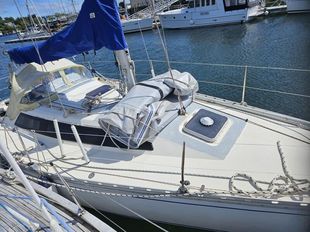 31 YACHT IN THE RUSH