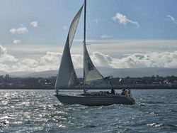 Dehler 31 /  Duetta 94