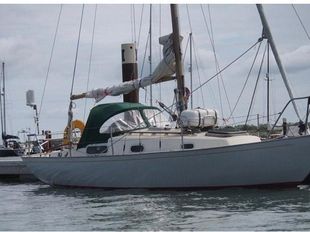 Contessa 26