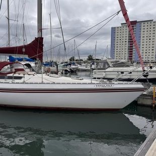 1981 Jeanneau Melody 34