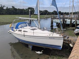 Hunter Legend 33