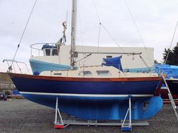 Samphire 26