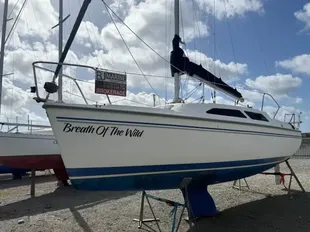 2006 Catalina 250