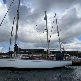 Rorqual 44