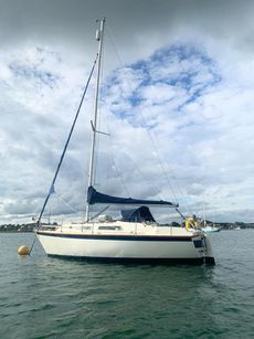 WESTERLY MERLIN beautiful example, well presented.