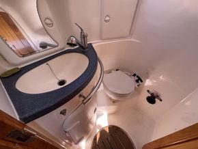IMG 4511