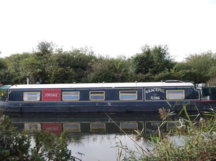 Graceful King - Widebeam - Heybridge