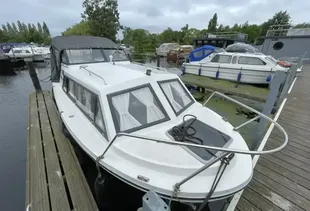 Viking 20