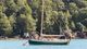 Tamarisk 24