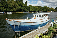 "Wild Raven" gorgeous houseboat with freehold London mooring