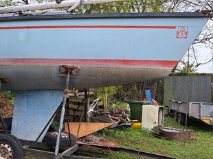 Boats for sale Ireland, used boats, new boat sales, free photo ads - Apollo  Duck