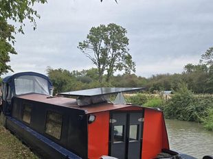 38ft springer