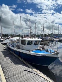 LOCHIN 40 (DOLPHIN DISCOVERY)