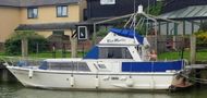 Moonraker Sportsman F350